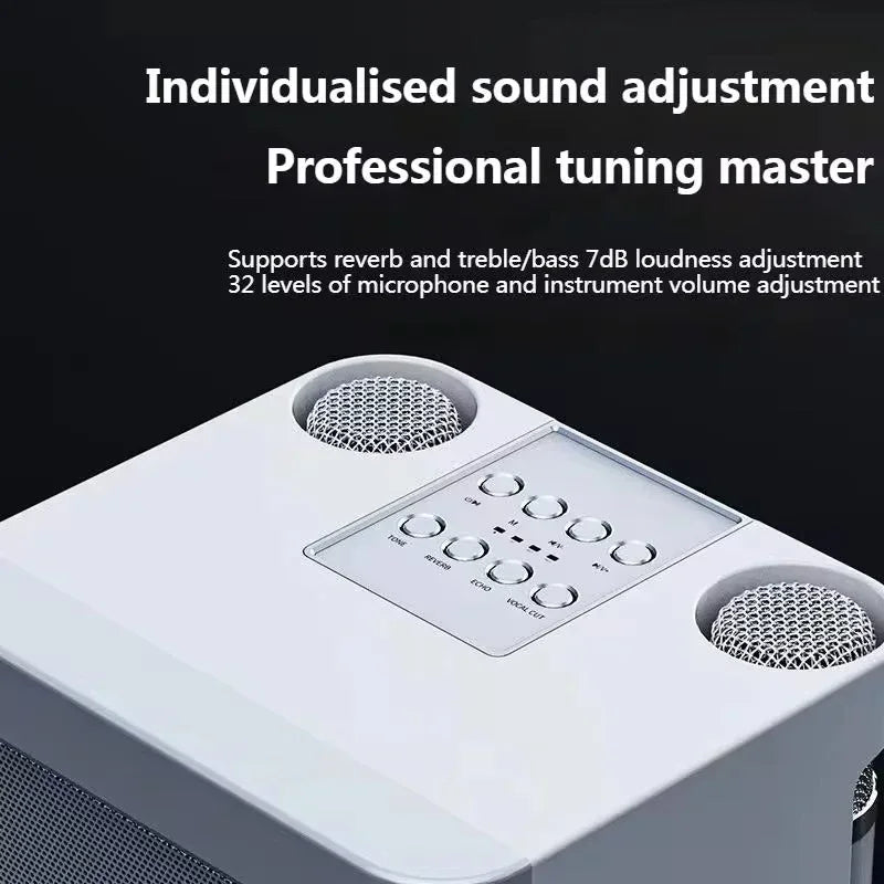 Bluetooth Karaoke Speaker With 2 Wireless Microphones AUX TF U Disk Player Portable For Party Outdoor