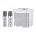 Bluetooth Karaoke Speaker With 2 Wireless Microphones AUX TF U Disk Player Portable For Party Outdoor