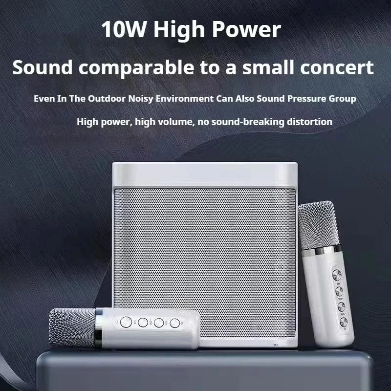 Bluetooth Karaoke Speaker With 2 Wireless Microphones AUX TF U Disk Player Portable For Party Outdoor