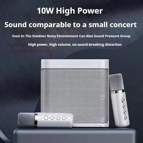 Bluetooth Karaoke Speaker With 2 Wireless Microphones AUX TF U Disk Player Portable For Party Outdoor
